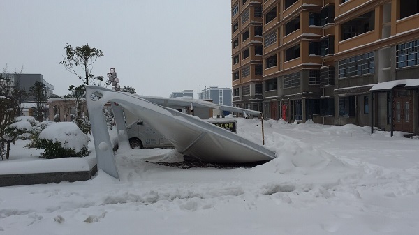 被積雪壓塌的車棚都有什么特點？